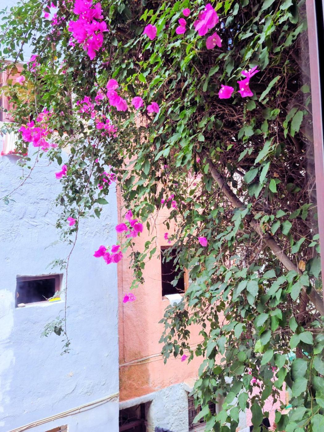אל ג'אדידה Maison D'Hotes Cite Portugaise חדר תמונה
